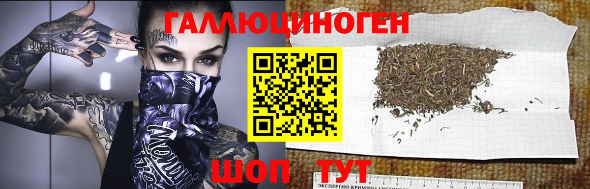 Галлюциногенные грибы ЛСД  Вход с VPN  Владивосток  Галлюциногенные грибы GOLDEN TEACHER 