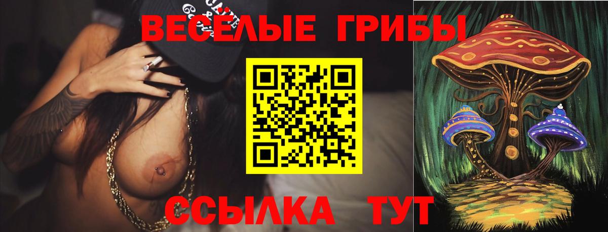 Галлюциногенные грибы мицелий Владивосток